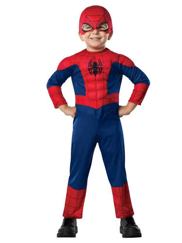 Costume spider man - costume, con